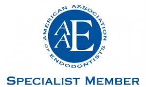 American Associations of Endodontics Member Raleigh NC